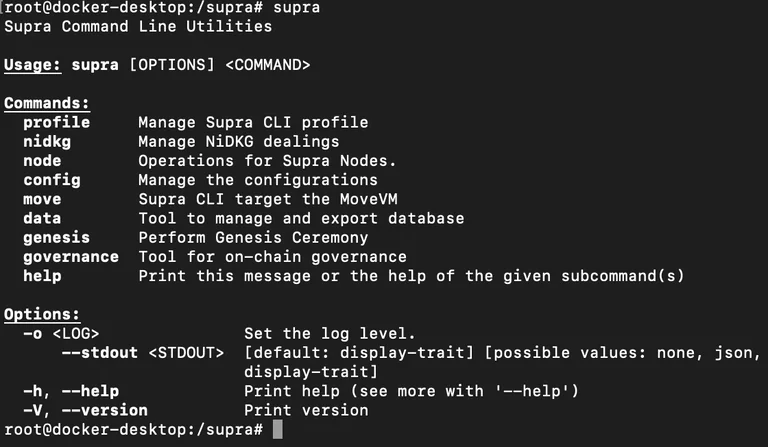 Supra CLI Docker terminal